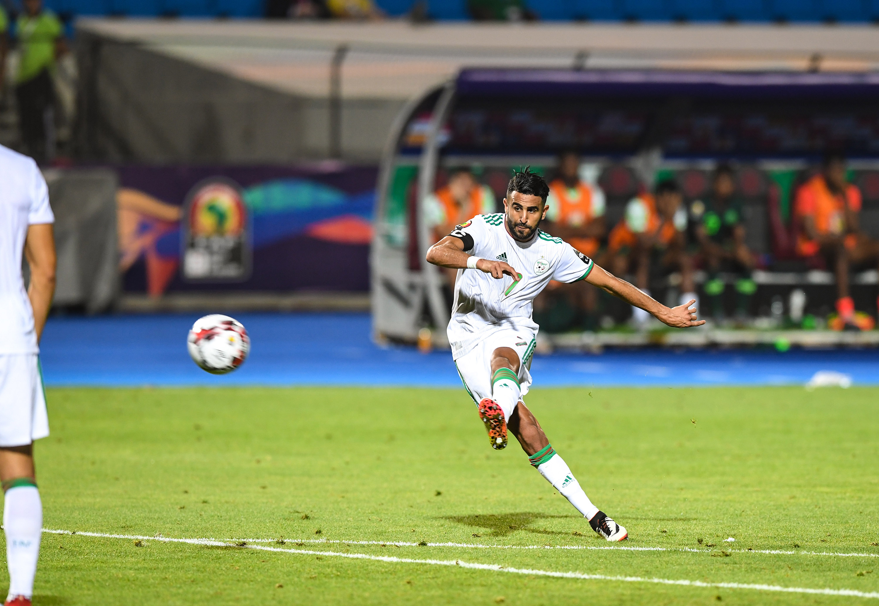 包含阿尔及利亚队实力强悍，全队斗志昂扬的词条