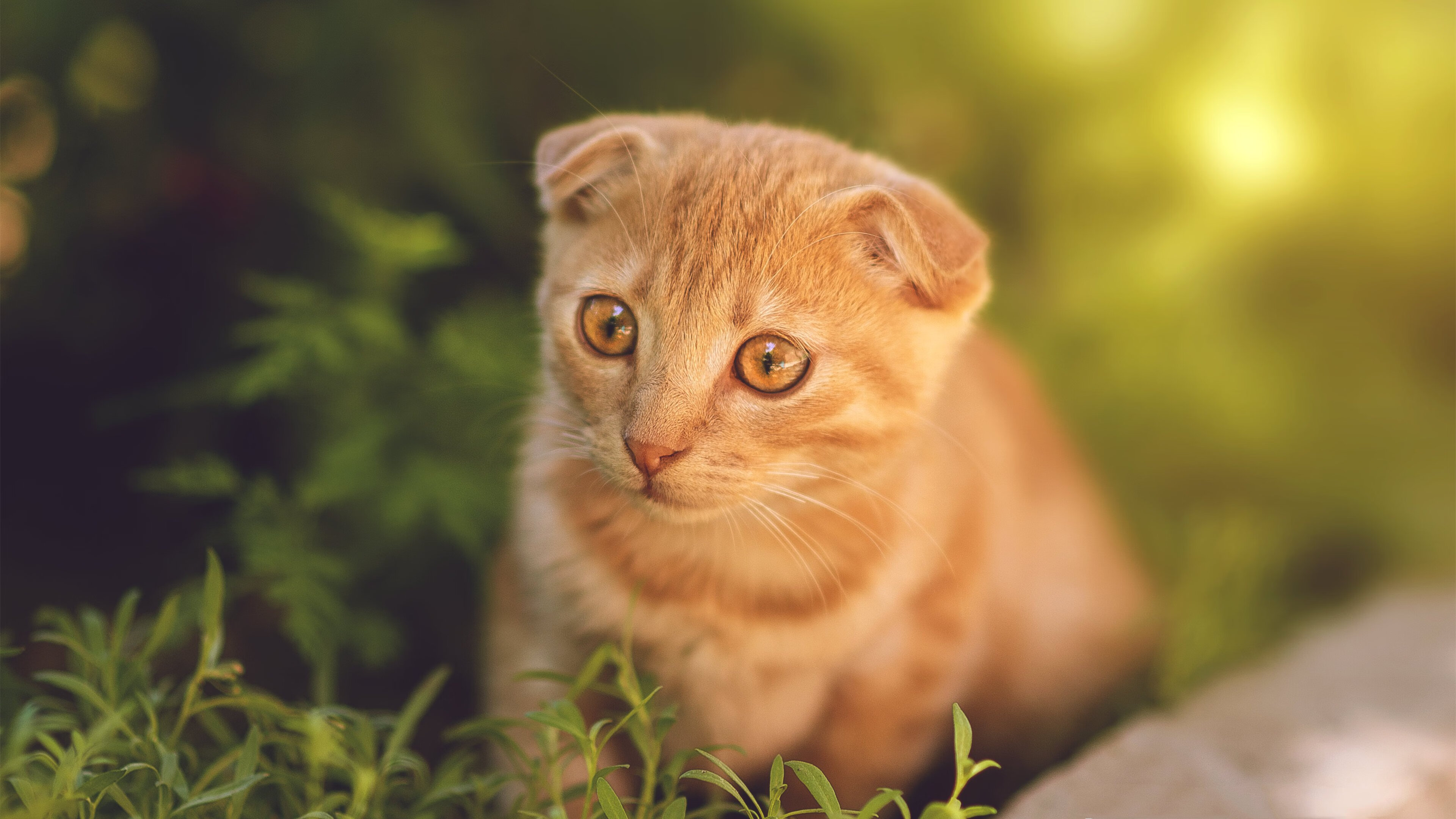 突破看不见的防线