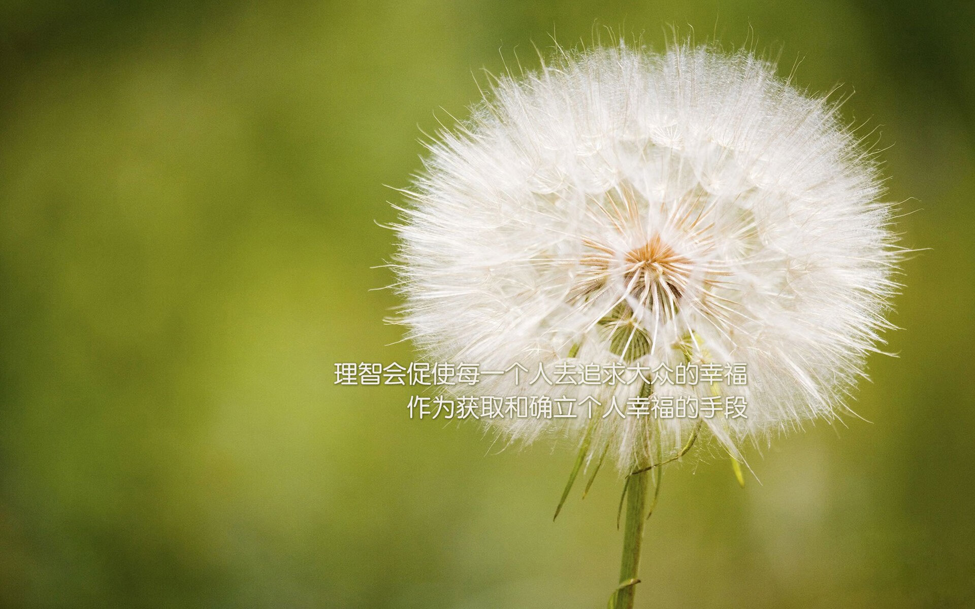 开云sport-弱旅掀翻巨人！阿尔瓦雷斯一剑封喉，荷兰俱乐部上演欧冠奇迹