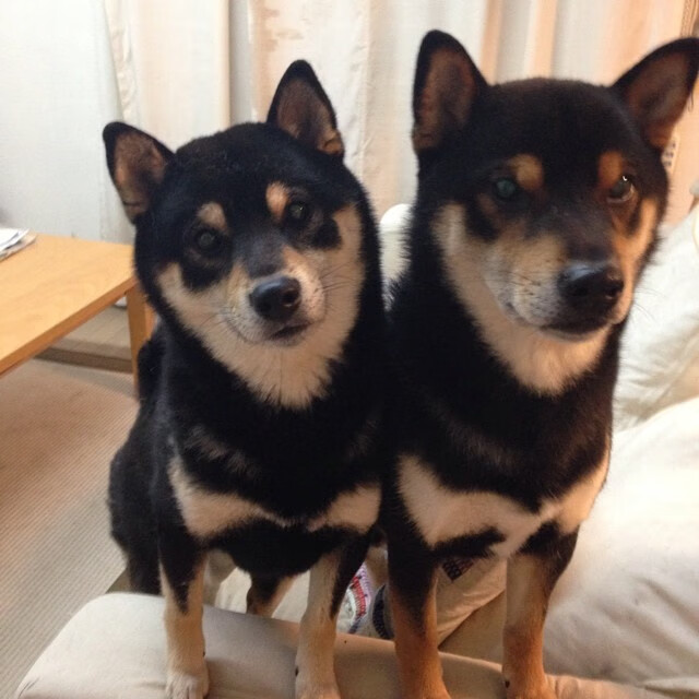 开云体育在线-当猎鹰啄伤斑马，蒂亚戈在伊斯坦布尔的王座之夜