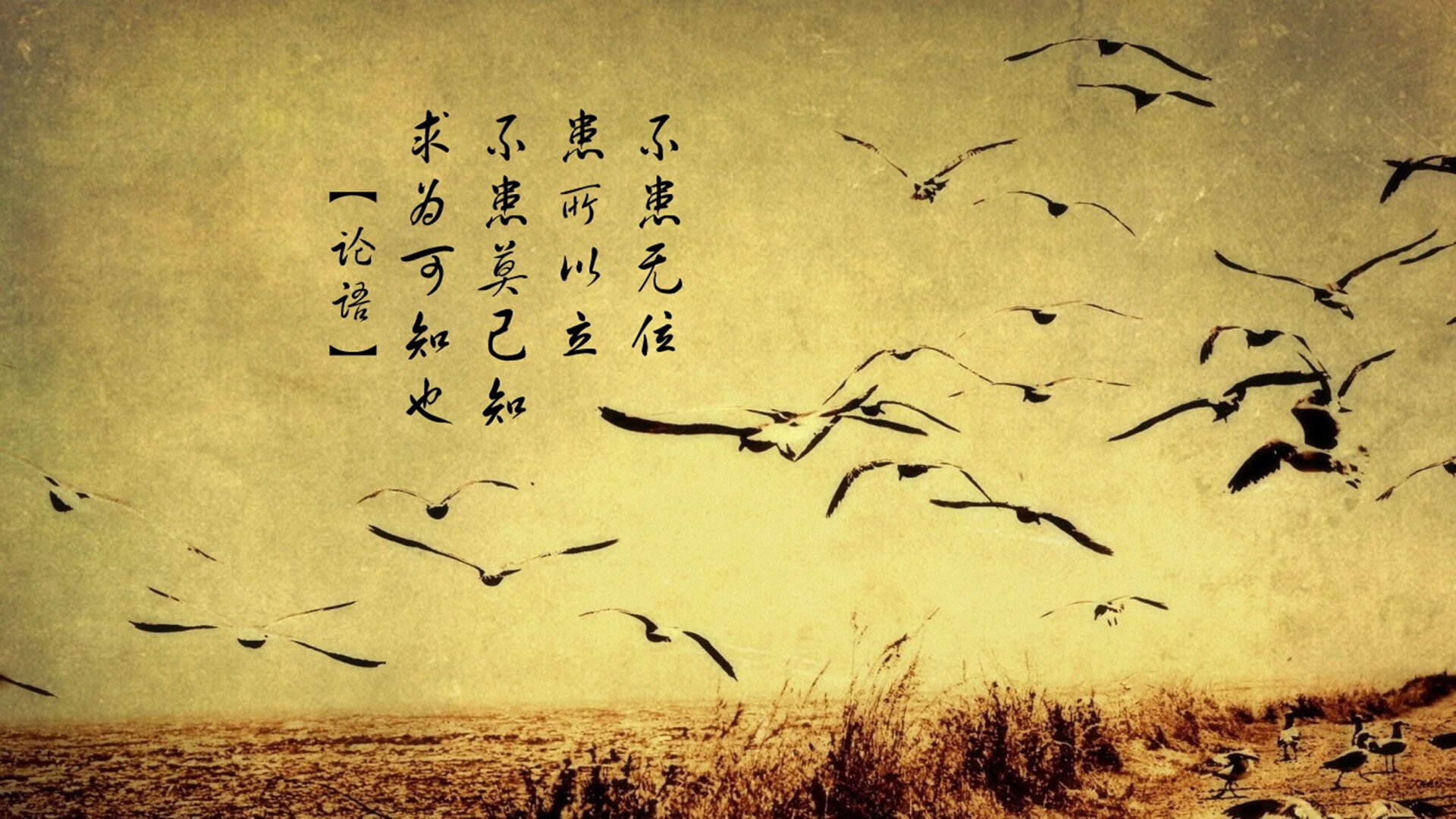 牙买加爆冷克罗地亚，NBA总决赛焦点战中的国际篮球奇迹