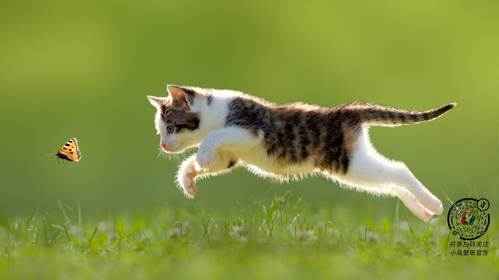 佩德里倒勾绝杀！威尔士黄金一代提前终结秘鲁奇迹夜悬念