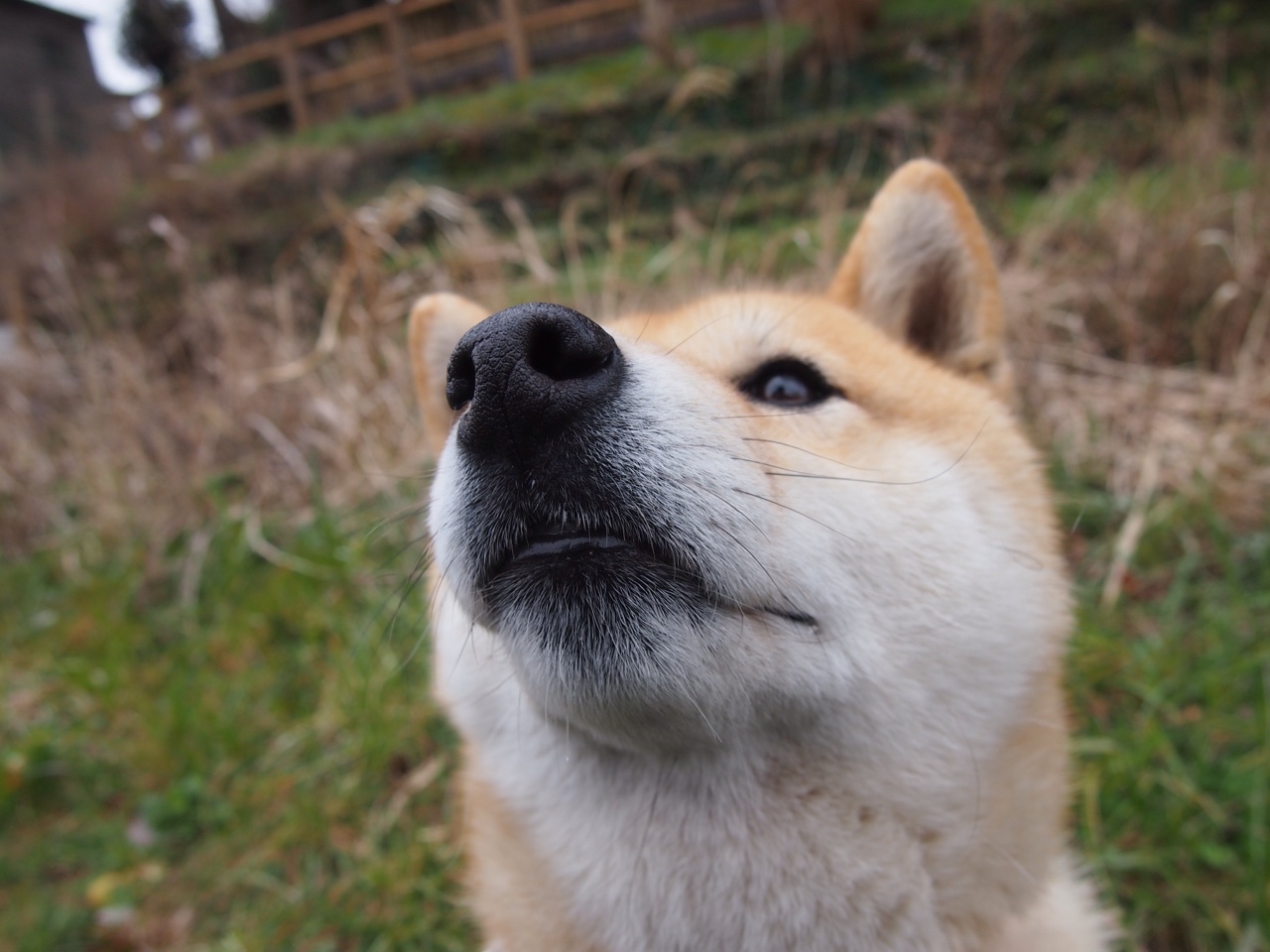 开云APP-压顶之时，方见真金，詹姆斯绝境重生的一战