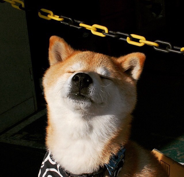 历史魔咒再显威，埃及全面压制塞内加尔的阿克时刻