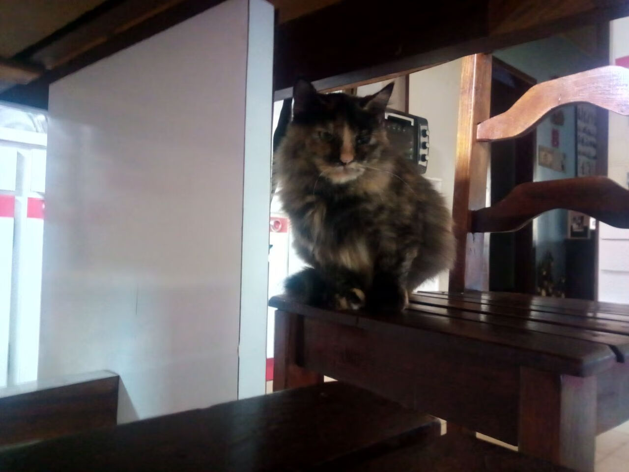 速度与高度，F1新赛季燃擎起航，爵士主场完胜雄鹿