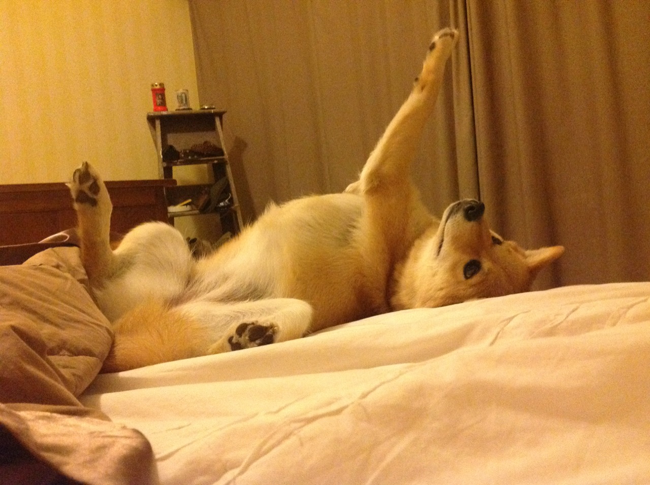 开云体育APP下载-从NBA季后赛到国际博弈，委内瑞拉的挡拆战术如何稳稳锁定埃及