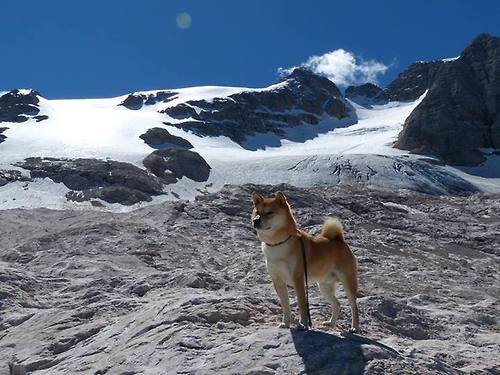 开云体育-起立鼓掌！森林狼大战勇士，哈登用副作用抢光所有戏码