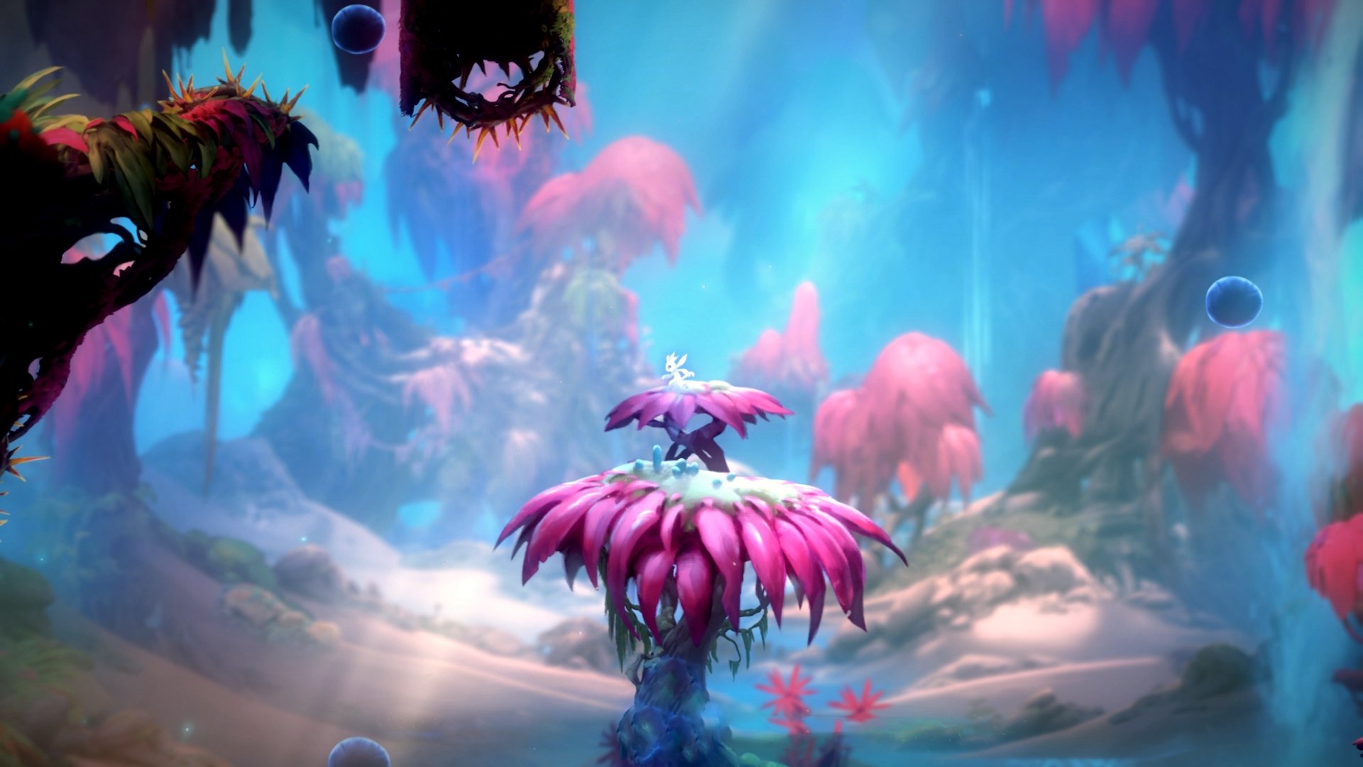 NBA总决赛焦点战启示录，利物浦如何以篮球智慧制霸牙买加体育版图