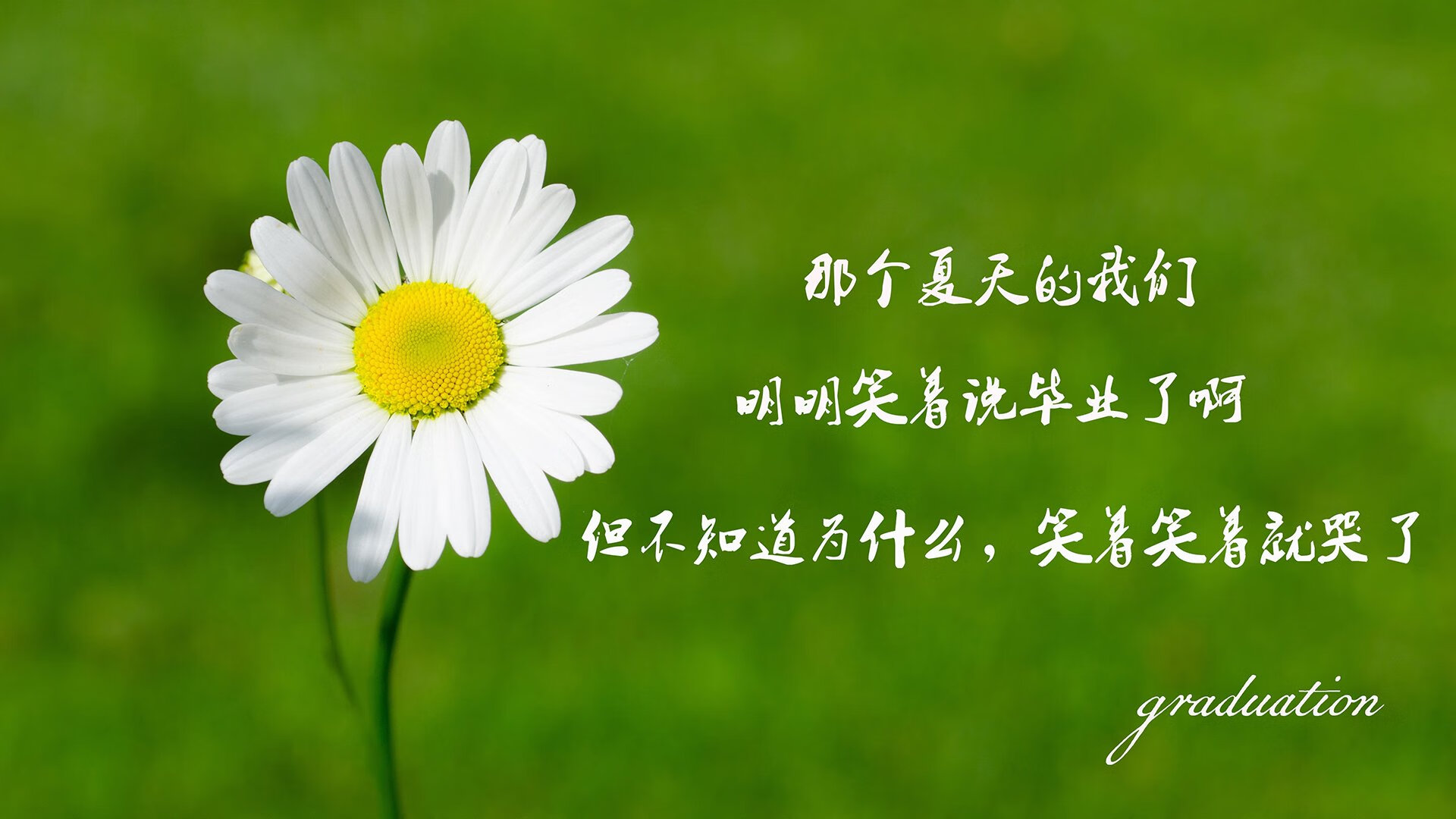开云官网-唯一的天选，当哈兰德在中场筑起城墙，厄瓜多尔在2026世界杯A组完成史诗级逆转