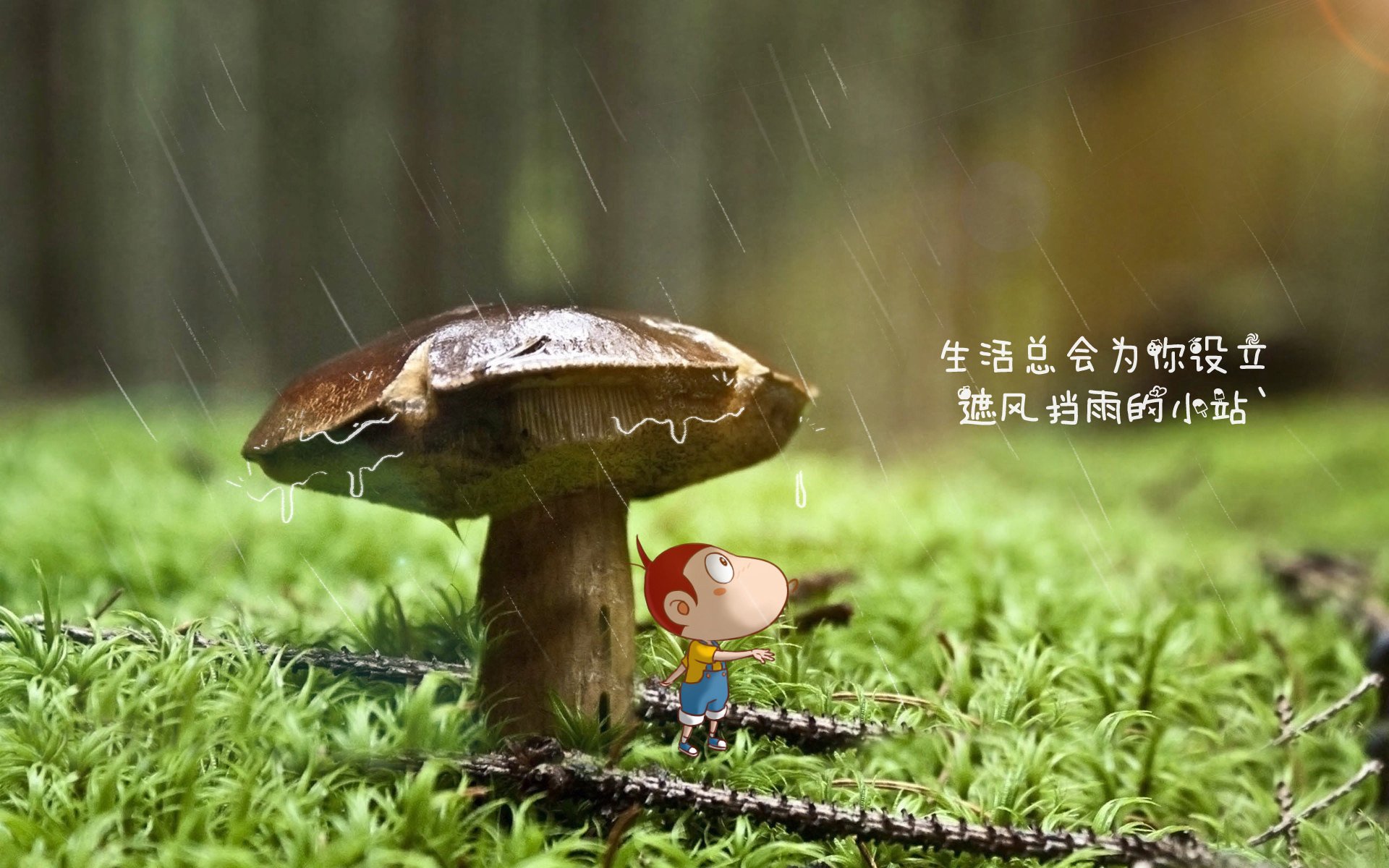 开云体育平台APP-孤城万仞,范戴克与2026世界杯决赛的防守史诗