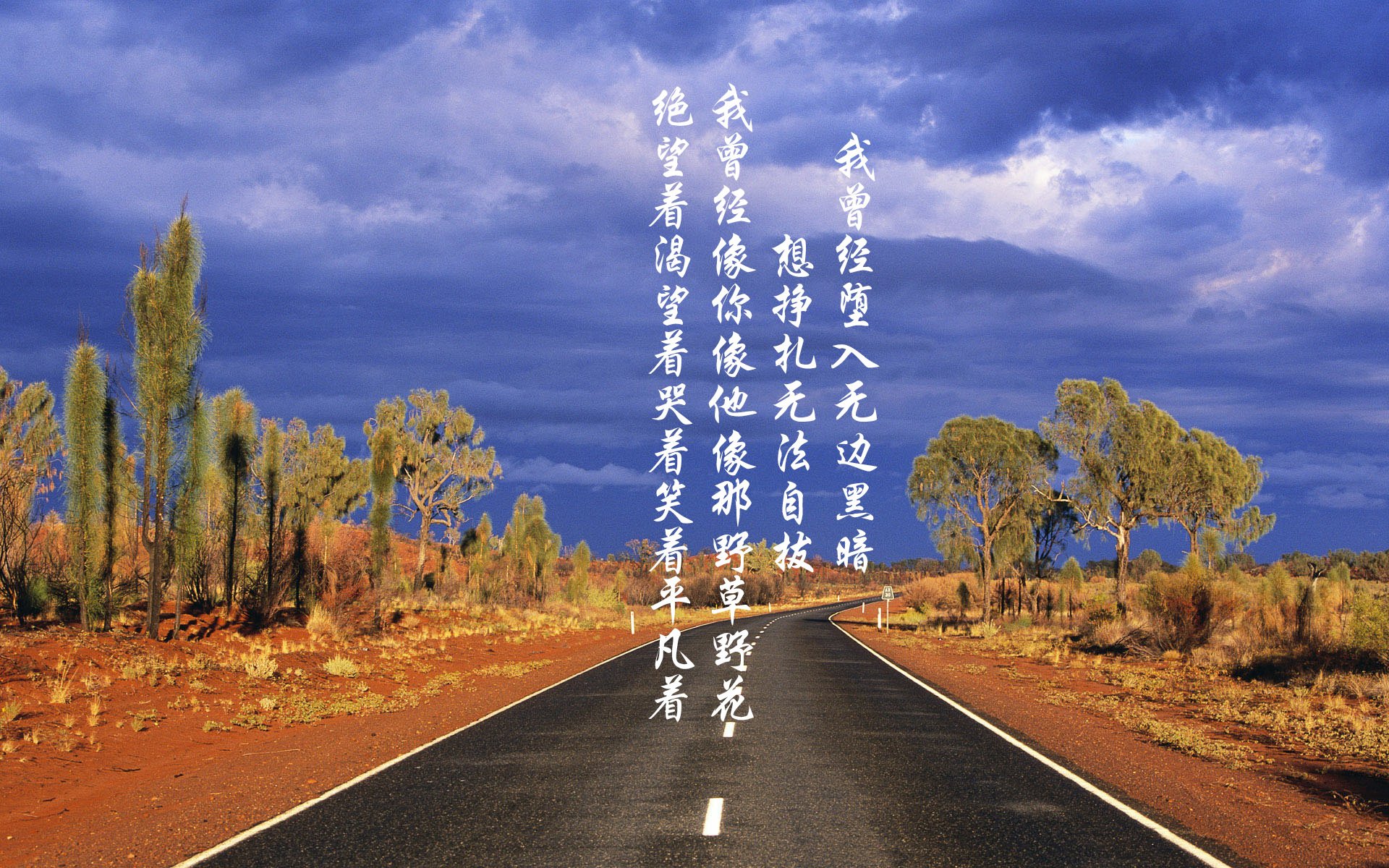 北极光下的橙衣将军，范戴克如何用一场非典型胜利，为2026世界杯G组写下唯一剧本