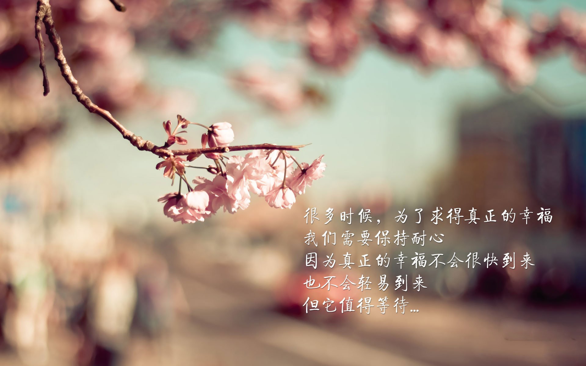 命运之门，2026世界杯最冷一夜，意大利用最后一道防线换回奇迹